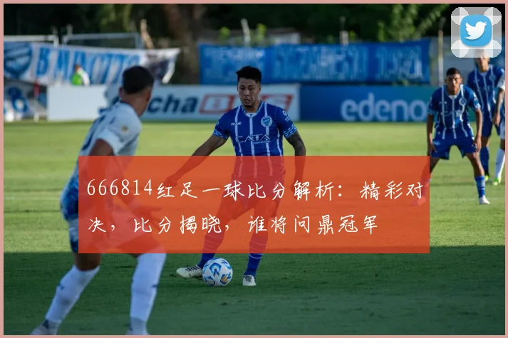 666814红足一球比分解析：精彩对决，比分揭晓，谁将问鼎冠军